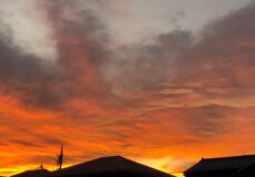 2025年の終りに感謝を込めて…